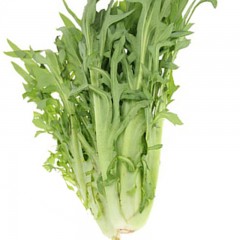 精选新鲜苦麦菜约500g/份