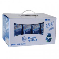 蒙牛真果粒牛奶饮品5种口味250ml*12盒/箱