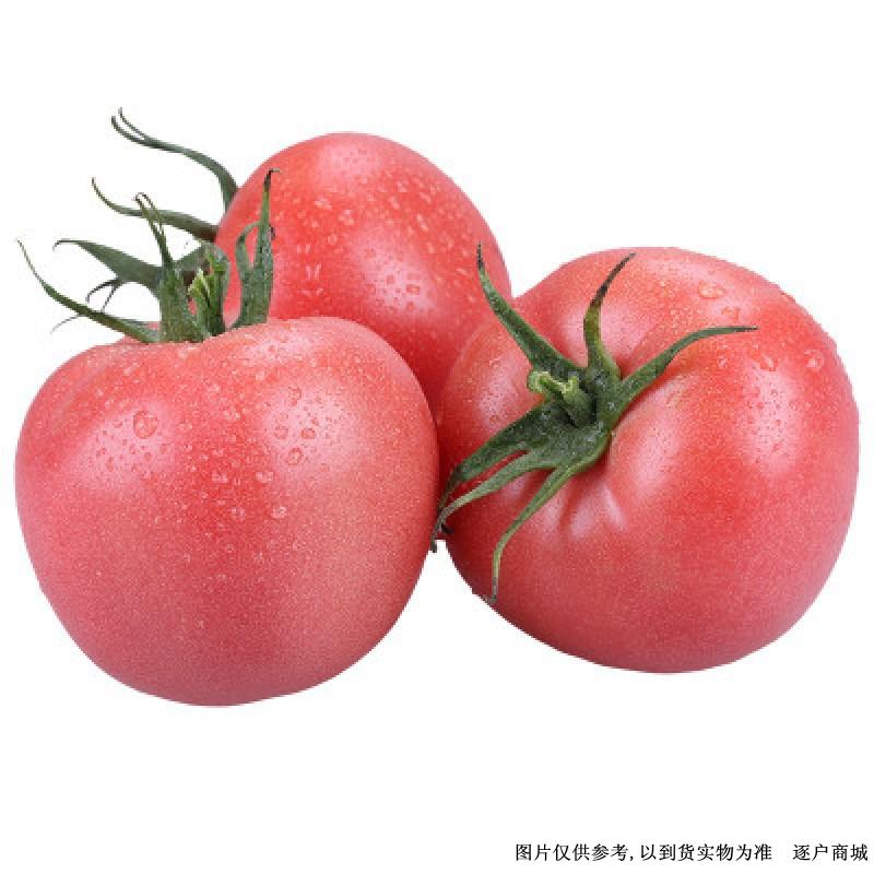新鲜西红柿500g±50g