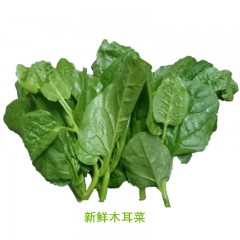 精选新鲜木耳菜约500g/份