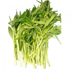 精选新鲜白通菜500g
