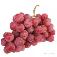 国产新疆脆甜红提750g±50g 新鲜水果
