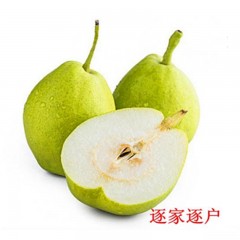 精选香梨1500g