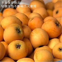 精选枇杷400±50g