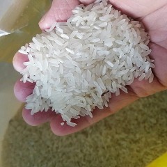 十月秋收猫牙香米15kg/包